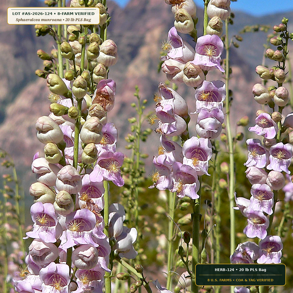 Colorado Plateau & Great Basin Forb Seed Mix (Sphaeralcea munroana & Penstemon palmeri)
