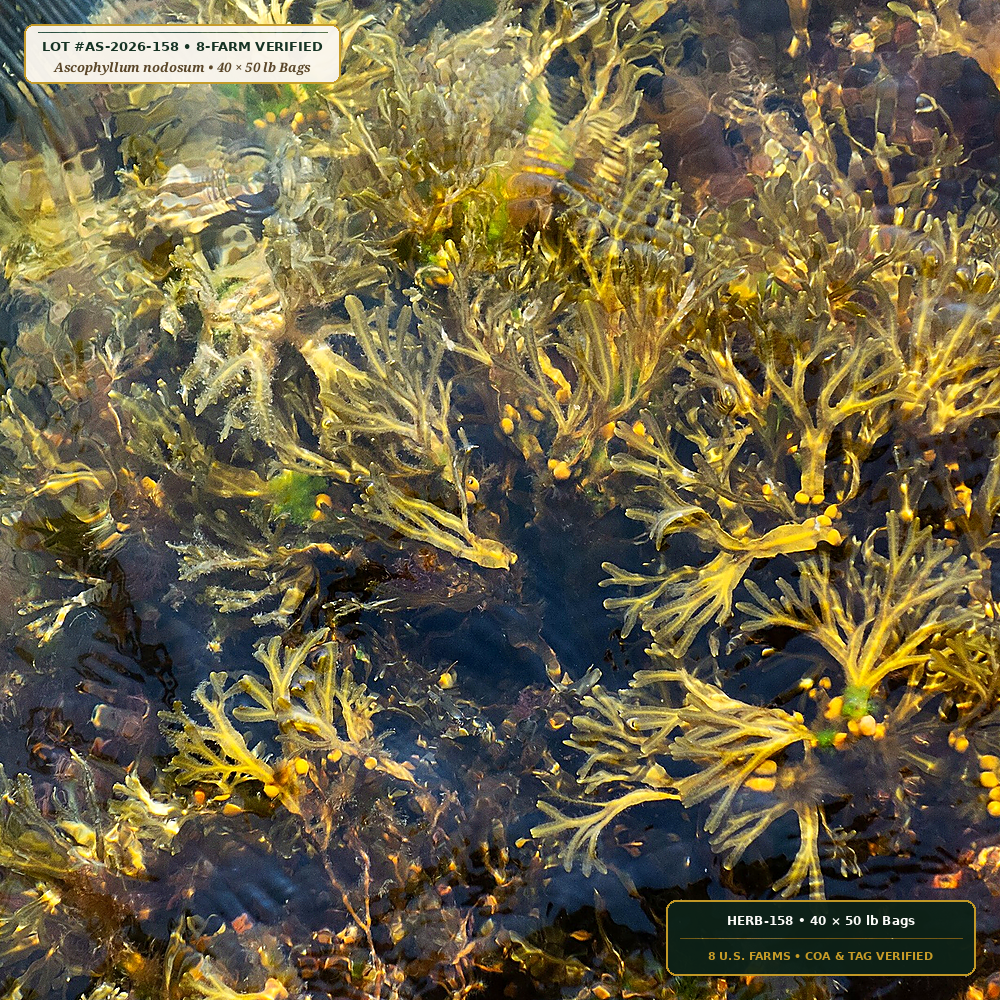 Organic Feather Meal, Kelp & Humic Turf Pallet (Ascophyllum nodosum & Feather Meal)
