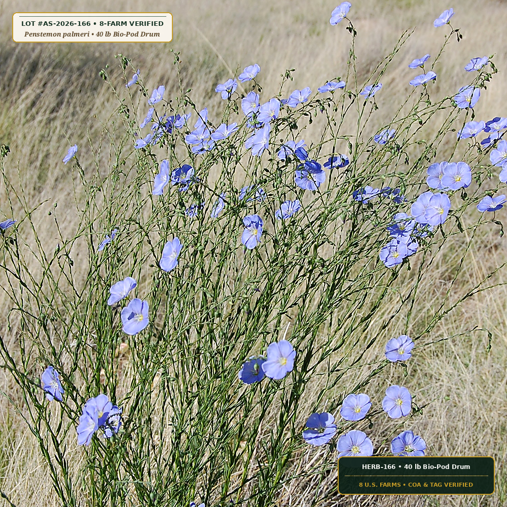 Biochar & Mycorrhizal Encapsulated Arid Seed Pods (Penstemon palmeri & Linum lewisii)