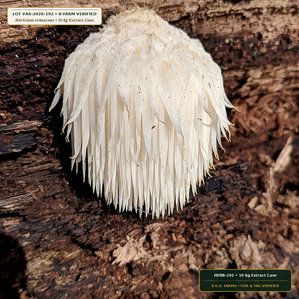 Organic 100% Fruiting-Body Functional Mushroom Quartet (Hericium erinaceus & Ganoderma lucidum)