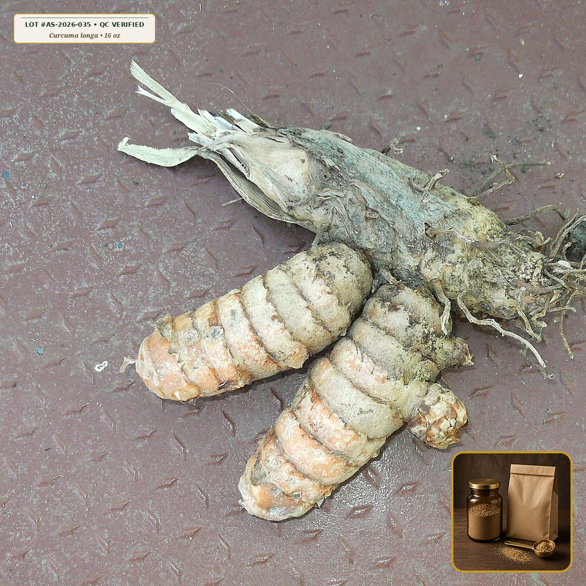 Organic Turmeric Root High-Curcumin Powder (Curcuma longa) — Fine Rhizome Powder (16 oz (1 lb)) • Third-Party COA Verified Lot AS-2026-035 • Protocol: 1-3 g (1/2-1 tsp) at 60-80 C warm water (Whisk & rest 3-5 min, 1:80 (3 g / 240 mL)) • Apothecary Supply Dispensary (Est. St. Petersburg, FL)