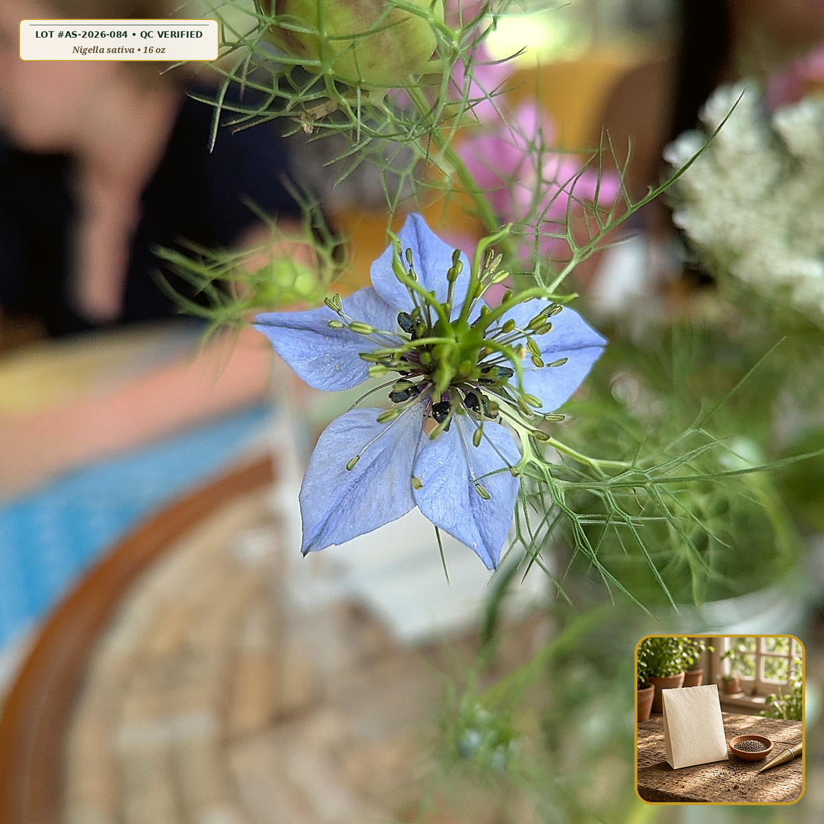 Organic Black Cumin (Nigella Sativa) Whole Seed (Nigella sativa) — Whole Jet-Black Seed (16 oz (1 lb)) • Third-Party COA Verified Lot AS-2026-084 • Protocol: 2-3 seeds / cell at Soil 18-24 C (Germinate 7-28 days, 1/4-inch sow depth) • Apothecary Supply Dispensary (Est. St. Petersburg, FL)