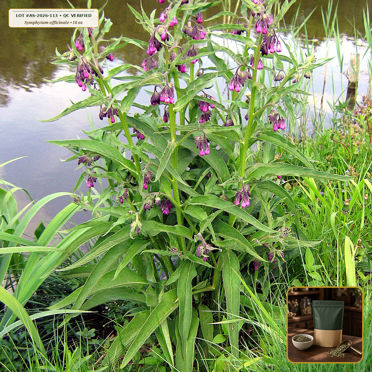Organic Comfrey Leaf Cut & Sifted (External / Topical Use Only) (Symphytum officinale) — Cut & Sifted Leaf (External Poultice/Salve Grade) (16 oz (1 lb)) • Third-Party COA Verified Lot AS-2026-113 • Protocol: 2-3 g (1-2 tsp) at 90-95 C water (Covered steep 10-15 min, 1:80 (3 g / 240 mL)) • Apothecary Supply Dispensary (Est. St. Petersburg, FL)