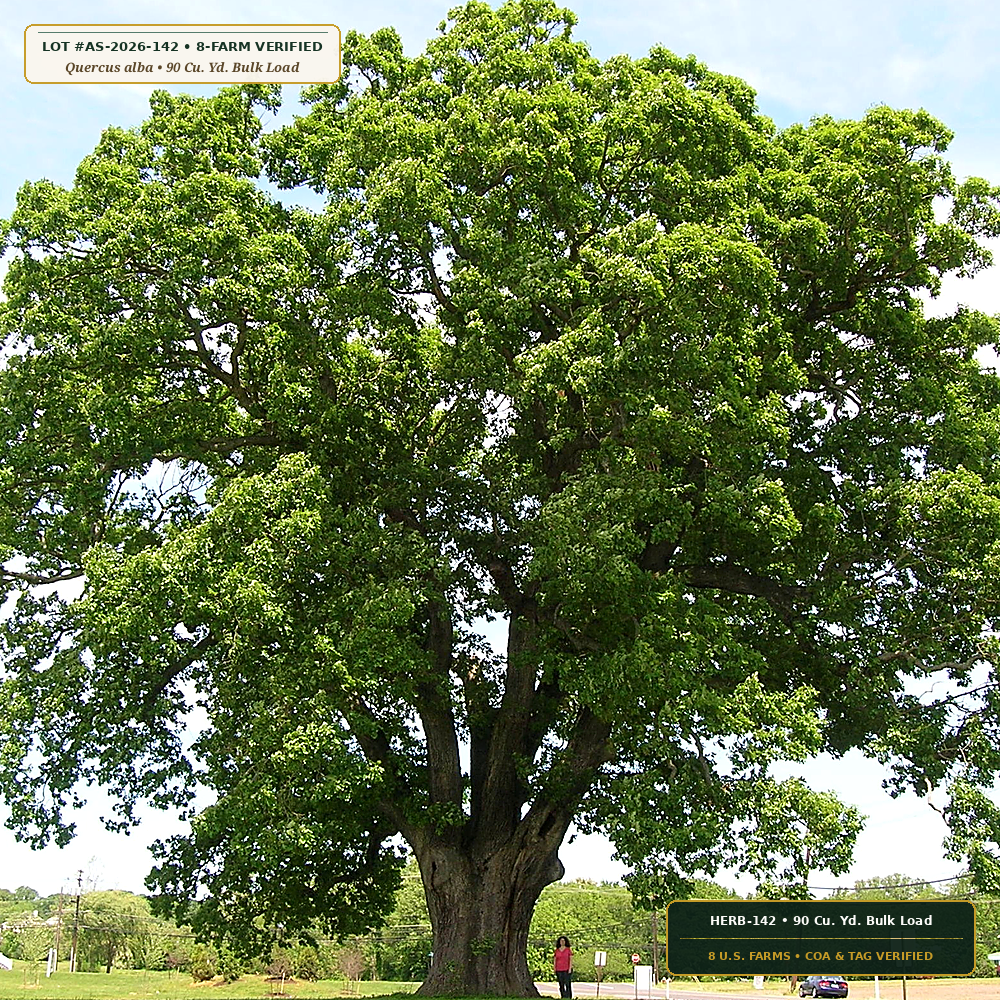 Double-Hammered Virgin Hardwood & Pine Bark Mulch (Quercus alba & Pinus strobus) — 90 Cu. Yd. Bulk Load • Lot AS-2026-142 • 8-Farm Domestic Provenance • Apothecary Supply