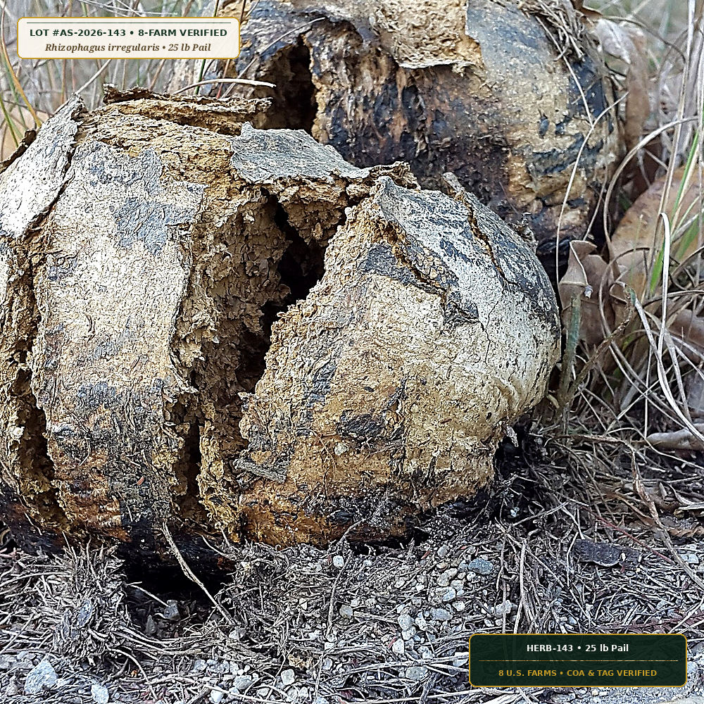 Endo/Ecto Mycorrhizal Root Dip & Biochar Inoculant (Rhizophagus irregularis & Pisolithus tinctorius) — 25 lb Pail • Lot AS-2026-143 • 8-Farm Domestic Provenance • Apothecary Supply