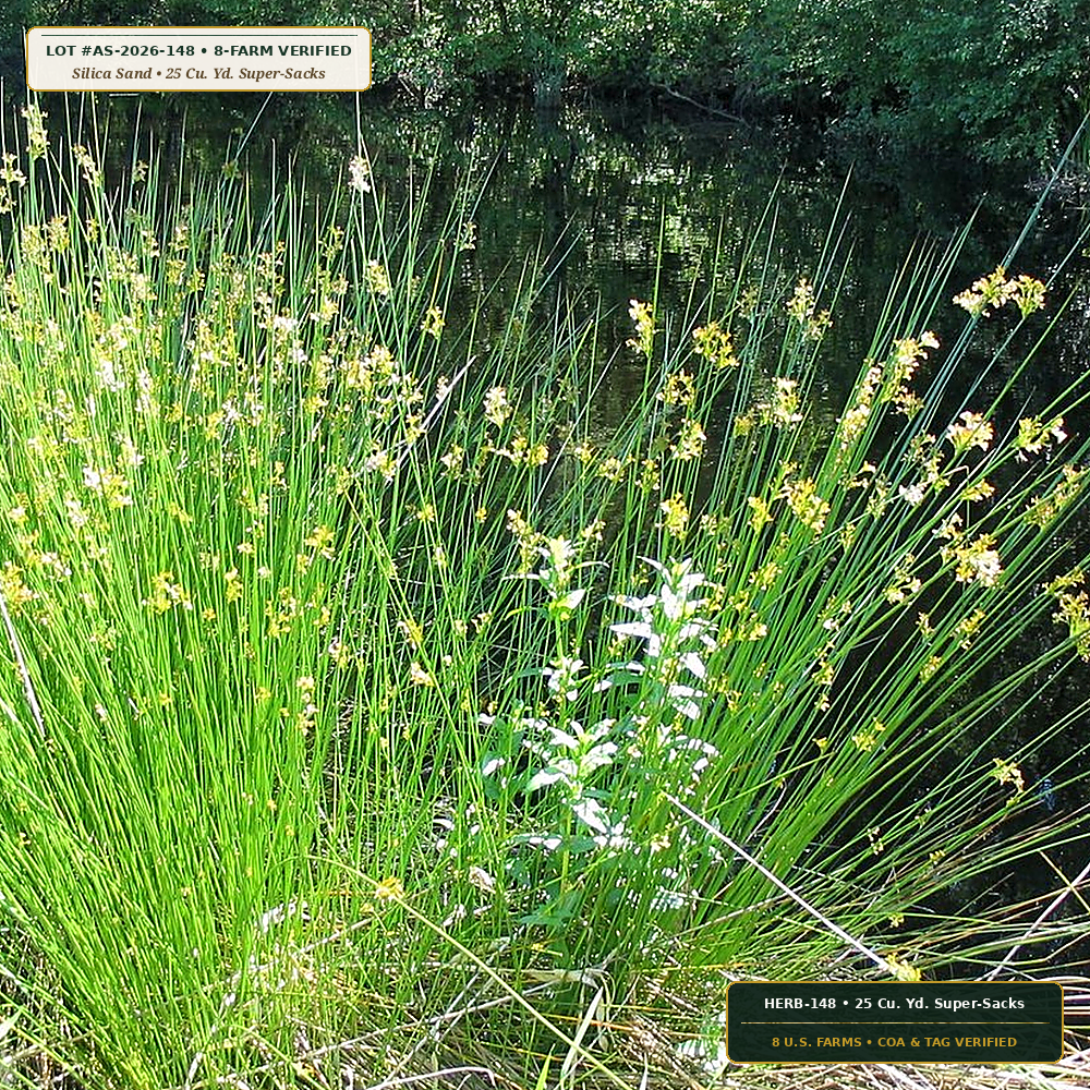 Engineered Rain Garden & Bioretention Topsoil Mix (Silica Sand, Leaf Compost & Mycorrhizae) — 25 Cu. Yd. Super-Sacks • Lot AS-2026-148 • 8-Farm Domestic Provenance • Apothecary Supply