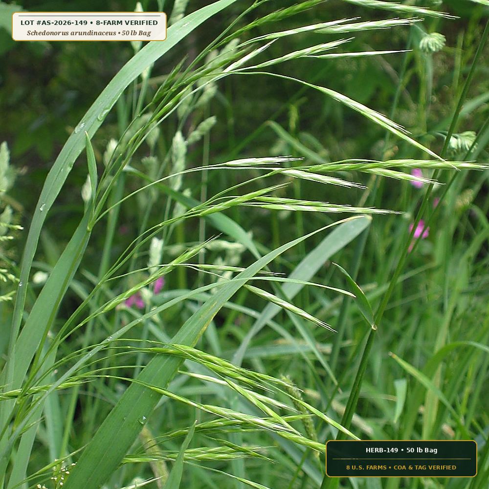 Appalachian Slope Fescue & Bird's-Foot Trefoil Mix (Schedonorus arundinaceus & Lotus corniculatus) — 50 lb Bag • Lot AS-2026-149 • 8-Farm Domestic Provenance • Apothecary Supply