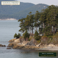 Pacific Northwest Douglas-Fir & Redcedar Pallet (Pseudotsuga menziesii & Thuja plicata) — 2,000-Plug Pallet • Lot AS-2026-152 • 8-Farm Domestic Provenance • Apothecary Supply