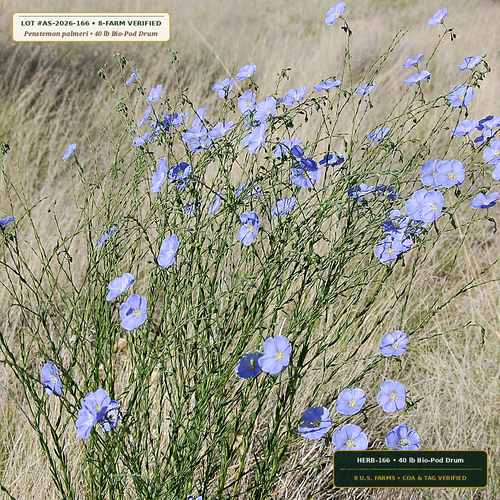 Biochar & Mycorrhizal Encapsulated Arid Seed Pods (Penstemon palmeri & Linum lewisii) — 40 lb Bio-Pod Drum • Lot AS-2026-166 • 8-Farm Domestic Provenance • Apothecary Supply
