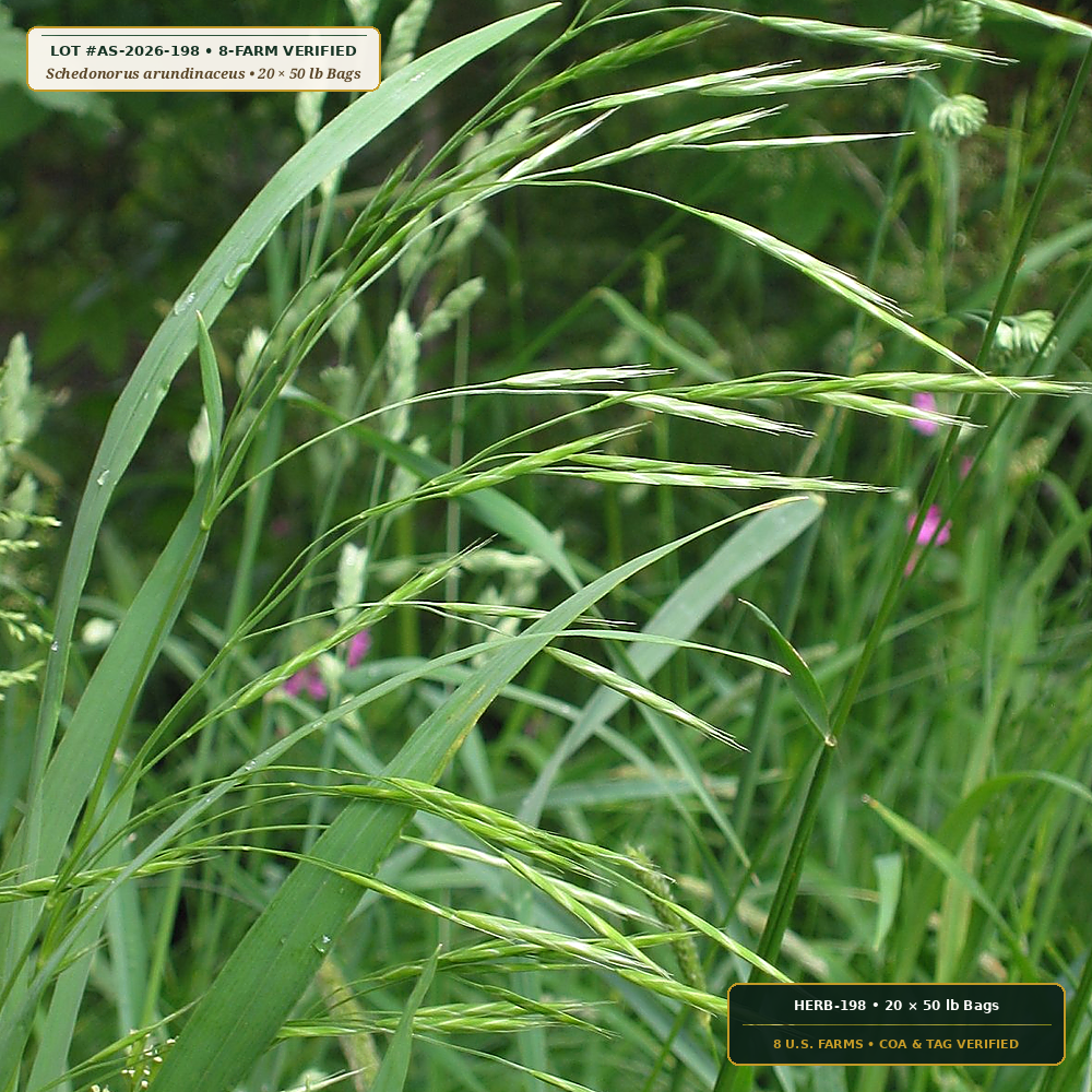 High-Endophyte Insect-Deterrent Tall Fescue Turf Seed Pallet (Schedonorus arundinaceus) — 20 × 50 lb Bags • Lot AS-2026-198 • 8-Farm Domestic Provenance • Apothecary Supply
