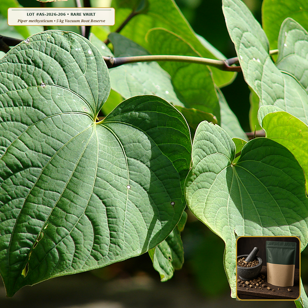Hawaiian Royal 'Awa Single-Cultivar 'Hiwa' & 'Moi' Root Reserve (Piper methysticum) — 5 kg Vacuum Lateral Root Reserve • Lot AS-2026-206 • Apothecary Supply